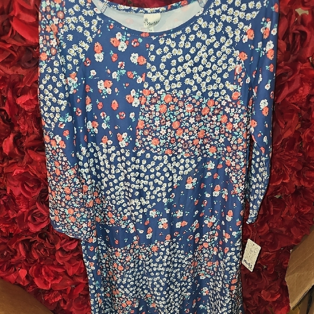 Mudd NWT Girls Floral Blue Dress with Floral Accents Size 14